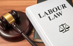 The Labor Lawyer