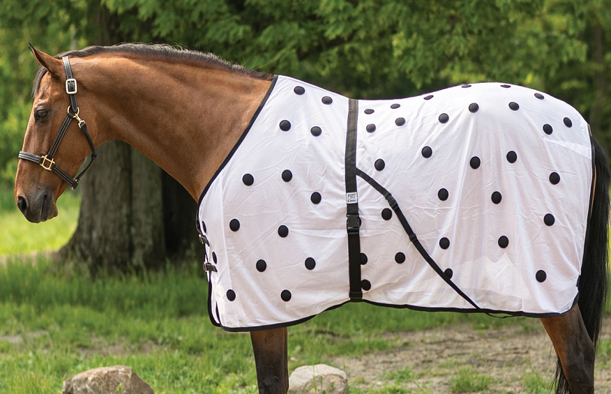 Fleece Blanket For Your Horse