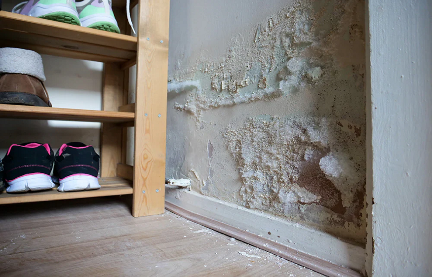 Rid of Damp Smell